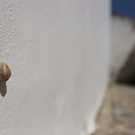 Casa Da Serra *